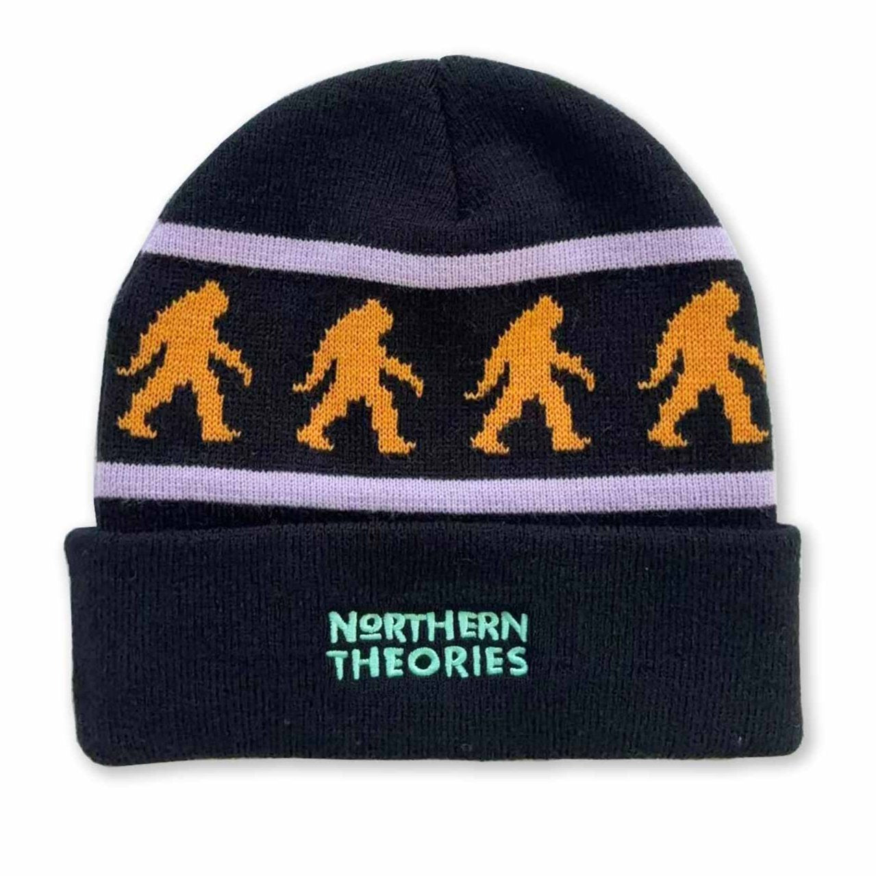 Theories Northern Theories Beanie - Black