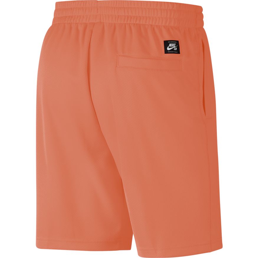 Healing Orange Sunday Nike SB Shorts Back