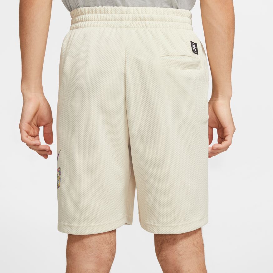 Fossil NIke SB Sunday Shorts Back