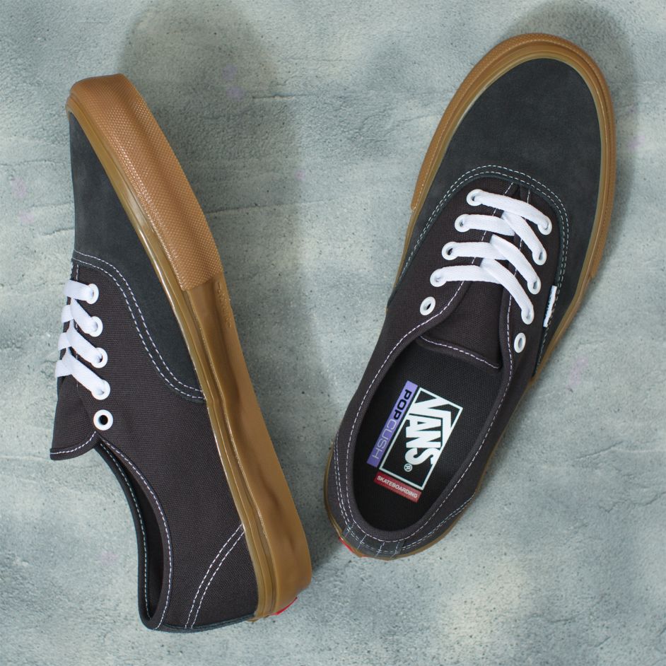 Raven/Gum Skate Authentic Vans Skateboarding Shoe Top