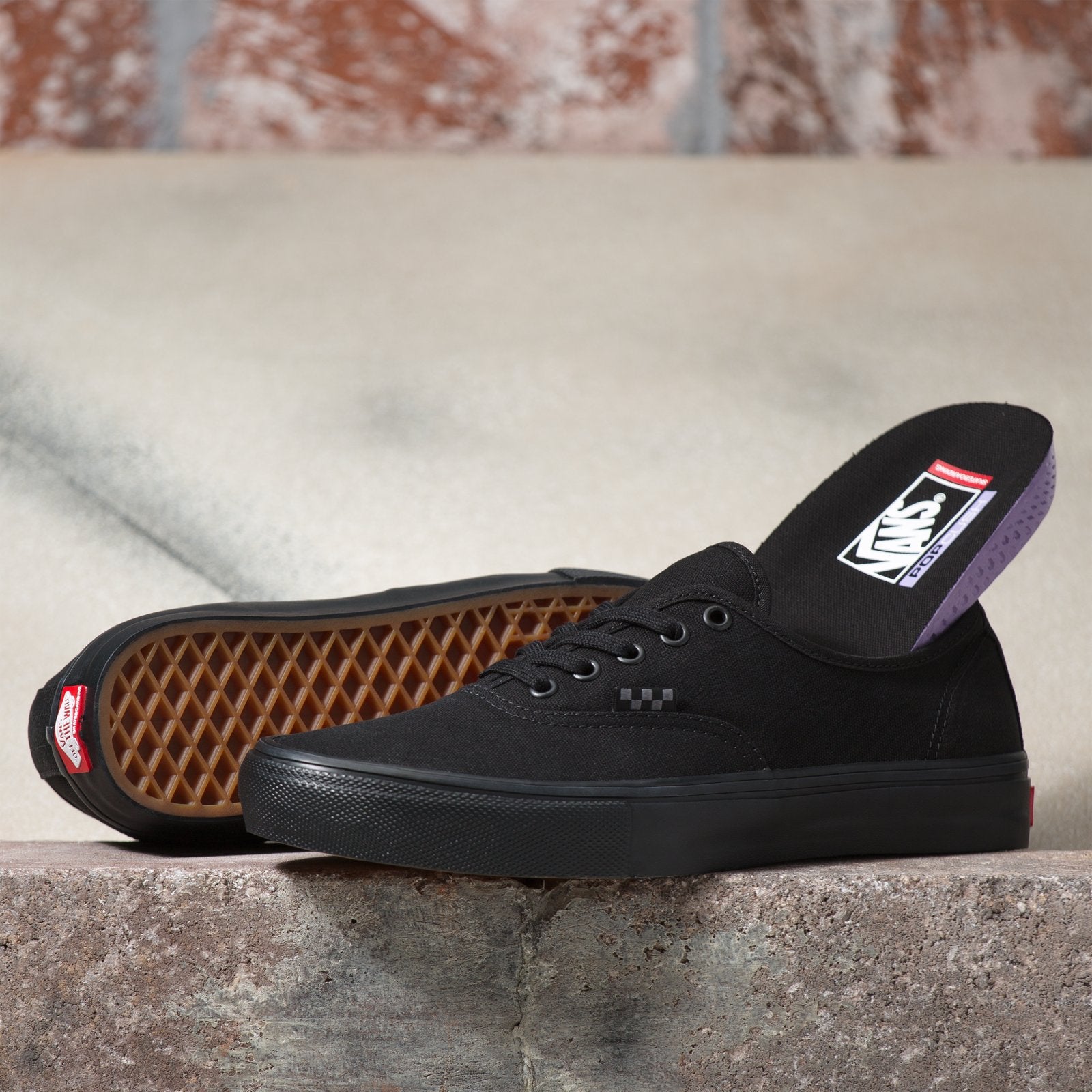 Black/Black Skate Authentic Vans Skateboard Shoe