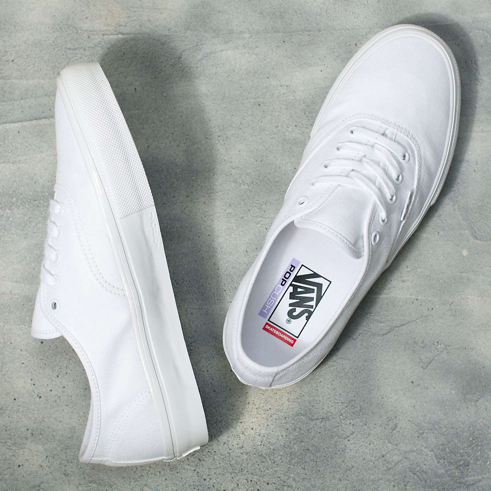 True White Skate Authentic Vans Skateboarding Shoe Top