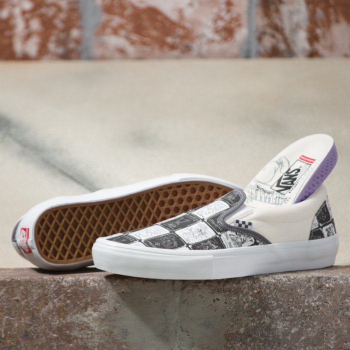 Daniel Johnston Raven Vans Skate Slip On Shoe